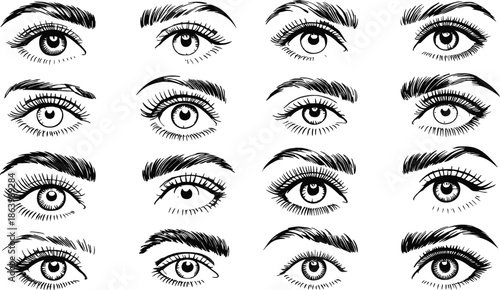 Set of female eyes and eyebrows vector illustration isolated on white background showing beauty makeup expressions sketch collection design elements