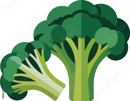 Broccoli vegetable icon with green florets and stalk vector illustration