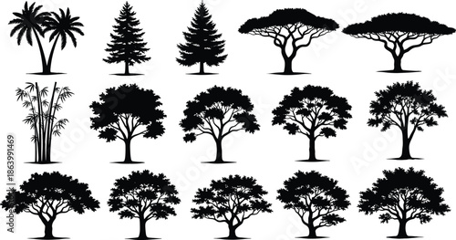 Various tree silhouettes collection including palm, pine, acacia, bamboo and forest trees, black and white nature vector illustration set