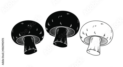 Trio of mushroom icons featuring two solid black silhouettes and one detailed line art drawing showing intricate gills and stem textures.