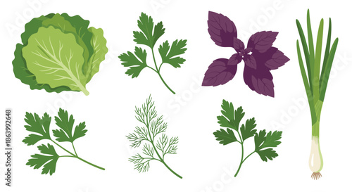 Assorted collection of fresh green leafy vegetables and herbs including lettuce, parsley, dill, purple basil, and spring onions.