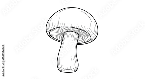 Detailed black and white line art illustration of a single edible mushroom with fine shading on its cap and gills for coloring.