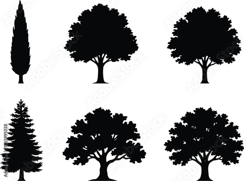 Tree silhouette collection, black forest shapes, nature icons, botanical elements, evergreen and deciduous trees, minimal style, editable design, flat vector illustrationTree silhouette collection, 