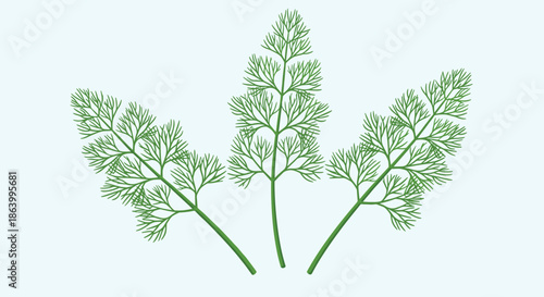 Delicate green dill branches with feathery leaves displayed against a soft light blue background for a fresh and natural herbal aesthetic.