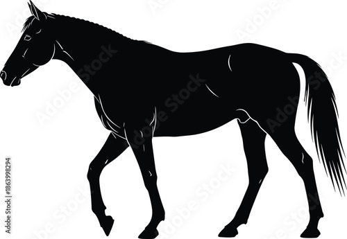 Flying and resting butterfly silhouettes vector illustration set, various shapes and detailed styles of beautiful insect wings, natural spring fauna graphic design elements collection, 