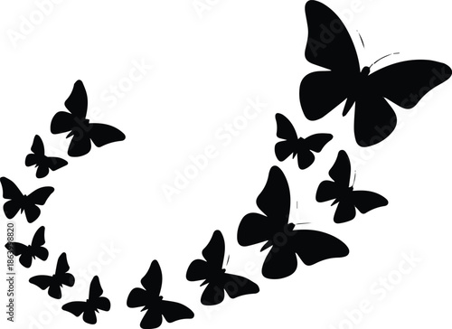 butterfly group migration curved composition black silhouettes