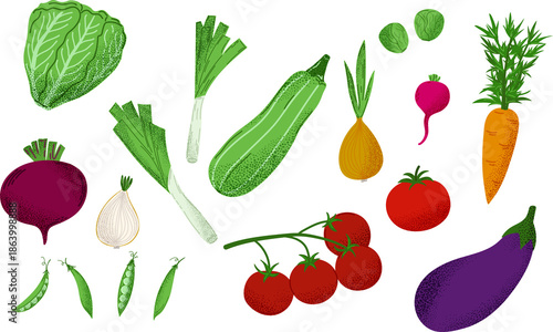 Textured vegetable set on white background. Flat collection of organic food. Healthy garden veggies for cooking design. Fresh harvest graphic elements.