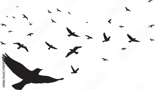 Flying A flock of flying birds on a white background, Vector bird silhouette
