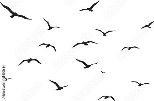 Flying A flock of flying birds on a white background, Vector bird silhouette