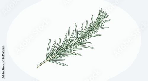 Detailed botanical illustration of a fresh green rosemary sprig featuring its signature needle-like leaves and woody stem on a light background.