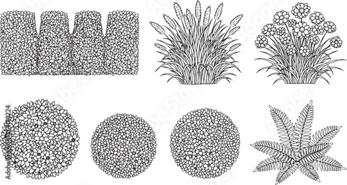 A diverse set of meticulously crafted plant illustrations, ideal for landscaping.