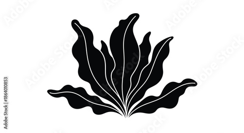 Black silhouette of aquatic seaweed or kelp leaves isolated on a white background for minimalist design and natural graphic elements.