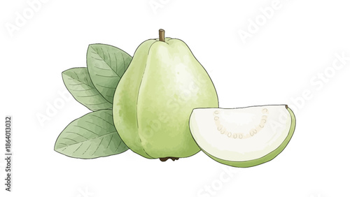 fresh green guava fruit illustration with a slice and leaves on a white background for healthy eating and natural food designs