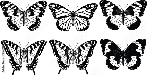 Black and white vector illustration set of six beautiful butterflies with open wings isolated on white background for design element.
