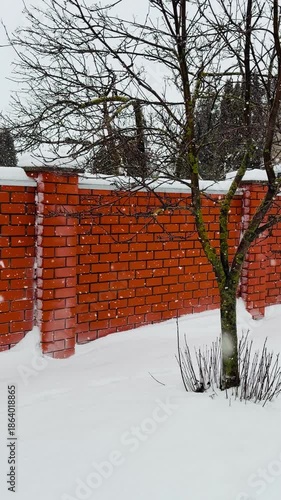 A brick wall with a tree in front of it. The tree is covered in snow. The snow is piled up on the ground