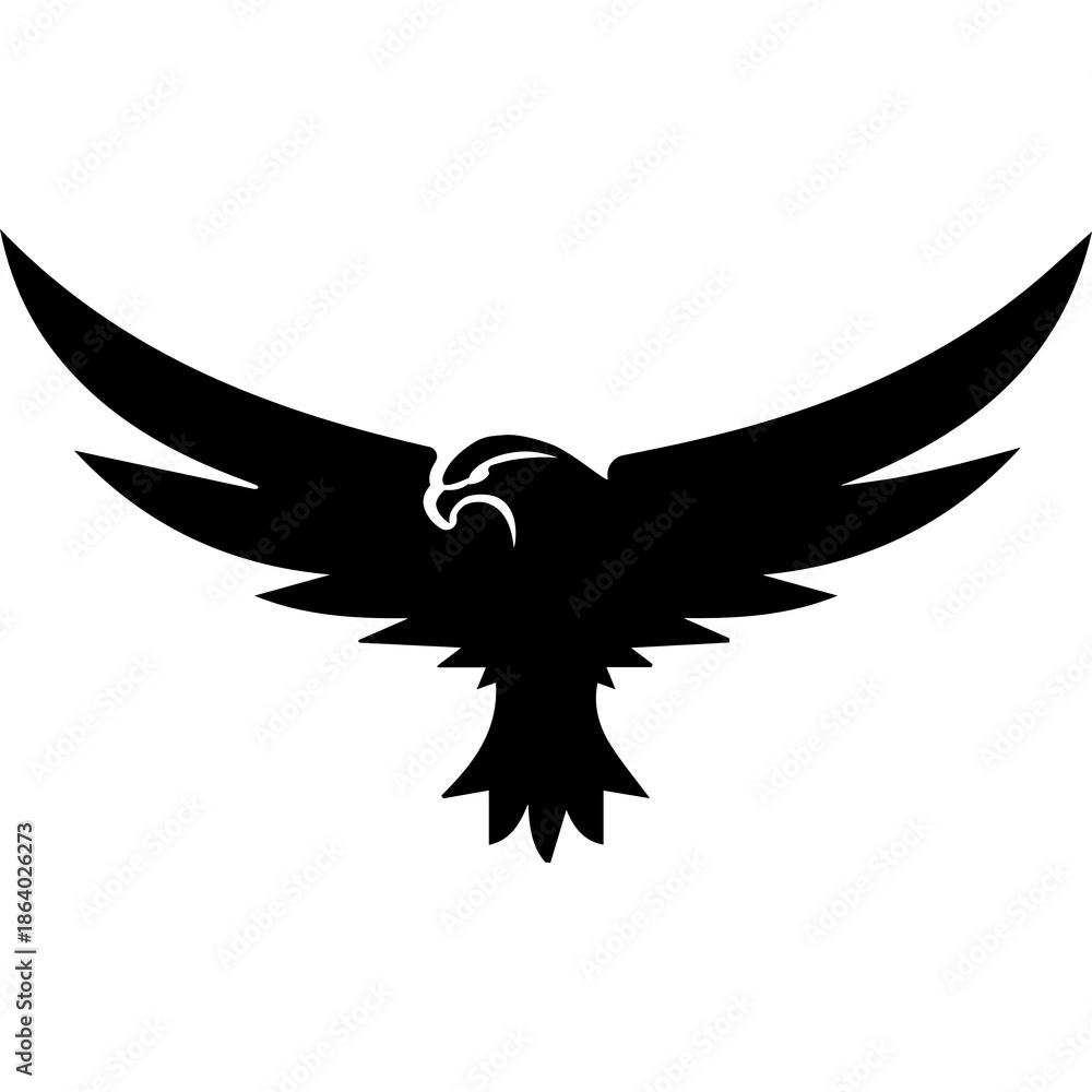 Obraz premium Flying Eagle Animal