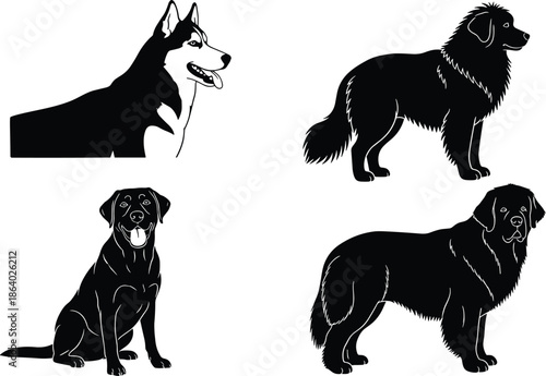 Collection of black and white dog vector silhouettes featuring husky, labrador and newfoundland breeds for pet care logo design concepts.