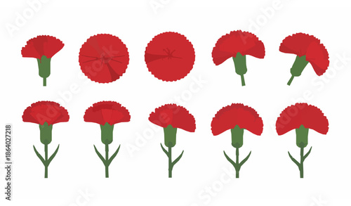 Minimal red carnation die cut flower vector set for National Carnation Day isolated on white