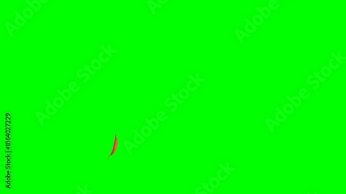 Dry Leaves Blowing Across on Green Screen Landscape
