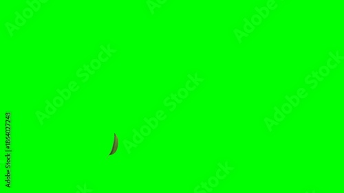 Leaves Blowing Across on Green Screen Landscape