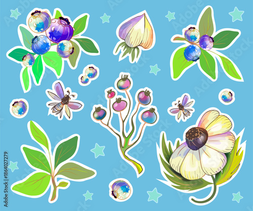 A set of stickers with decoration of physalis flowers, blueberries and butterflies on a white background. Decorations for study or hobby and holidays. Hand drawn. Vector.