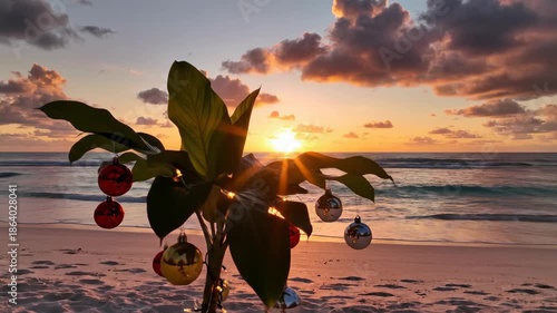Tropical Solstice: A single plant adorned with festive ornaments stands as a testament to the magic of holiday at a tropical beach, as the sun dips below the horizon, painting the sky in fiery hues.