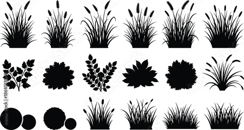Set of black vector silhouettes featuring various grass tufts, reeds, and bushes isolated on white background for nature landscape design