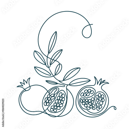 Minimalist line art drawing of pomegranates with leaves and floral designs