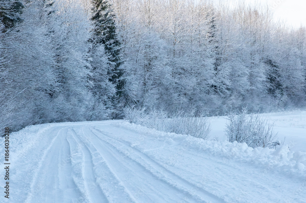 Obraz premium road in the snow