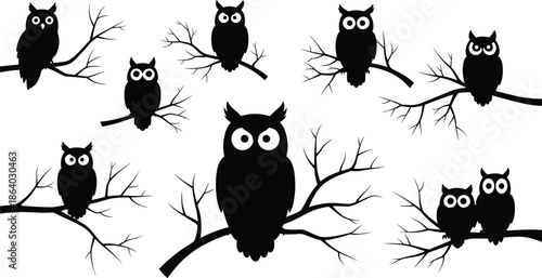 Vector set of black owl silhouettes sitting on bare tree branches isolated on white background, perfect for spooky Halloween decoration