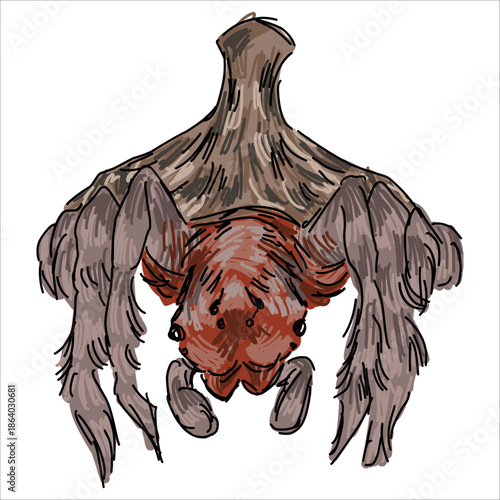 Turreted Wrap-around Spider. Dolophones turrigera. Colorful, hand-drawn, vector illustration. Picturesque. Unique detailed stylization. Print on sketchbooks, stickers, postcards, cups, clothes