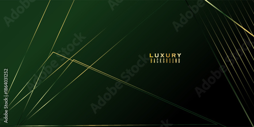 Green on dark shade with elegance golden line elements. Realistic luxury background . Vector illustration