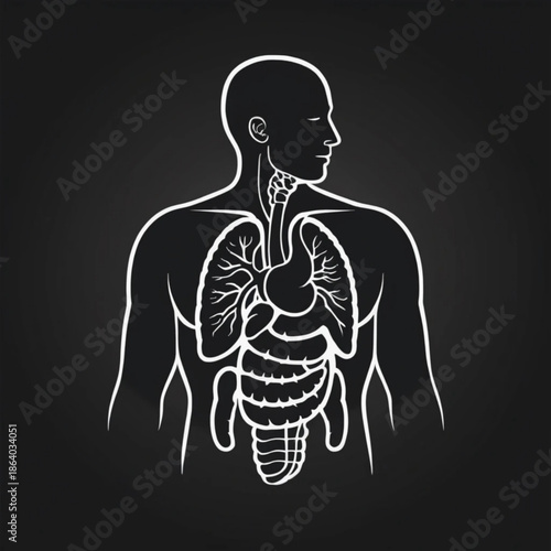 Human digestive system silhouette, flat vector medical illustration, solid black anatomy shape, centered composition, isolated on plain background