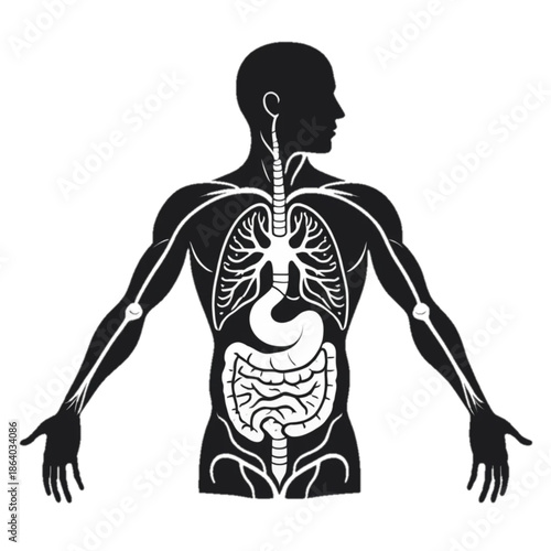 Human digestive system silhouette, flat vector medical illustration, solid black anatomy shape, centered composition, isolated on plain background