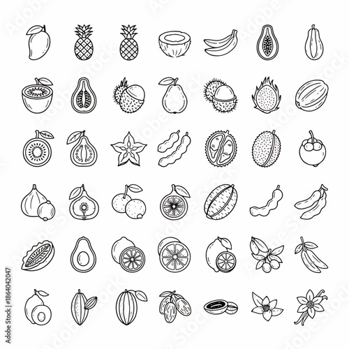 Collection of Hand-Drawn Tropical Fruits Icons Vector Set, Mango, Pineapple, Coconut, Banana, Papaya, Durian, Mangosteen, Dragon Fruit