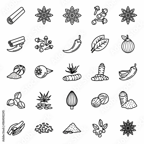 Collection of various spices and herbs icons for culinary use, including cinnamon, star anise, cloves, chili, and ginger
