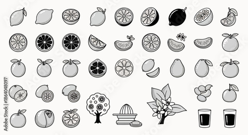 Set of Citrus Fruits and Related Objects Vector Icons Collection Fresh Lemon Orange and Grapefruit Illustrations
