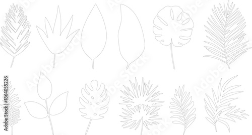 set of flowers vector style silhouette or sketch art of flowers and plants made by hand drawn lines.