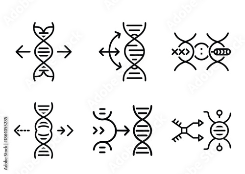 Conceptual representation of different DNA processes and modifications with simplified icons