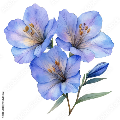 Beggarticks Flower, vibrant painting vector in watercolor style with playful brushwork and lively colors, isolated on a white background.