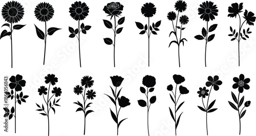 Set of floral botanical flower silhouettes with stems and leaves, black garden plant icons including roses and sunflowers for nature vector design illustration (24 words)