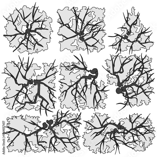 stylized, top-view tree symbols featuring organic branching structures and geometric canopy outlines. Designed for architectural site plans, landscaping concepts, and minimalist vector illustrations.