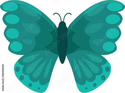 Beautiful turquoise butterfly with elegant wings and delicate patterns, perfect for nature and wildlife projects