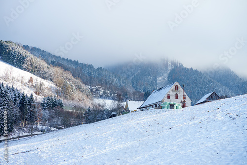 Peaceful winter landscape with rural houses on a snowy hillside, surrounded by forest and misty mountains, countryside life, cold season scenery.