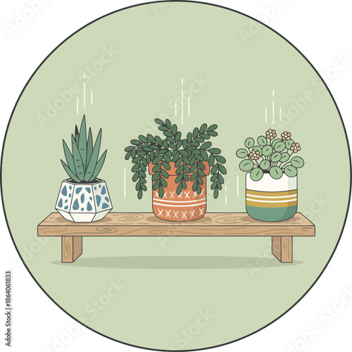 Three charming potted houseplants arranged on a simple wooden shelf adding a touch of natural decor
