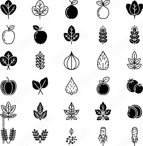 Collection of 30 black and white food and plant icons, a diverse set of healthy vegetarian ingredients, symbols, and elements