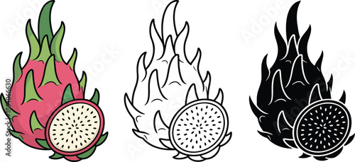 Dragon fruit silhouette & Outline and illustration set isolated on transparent background 