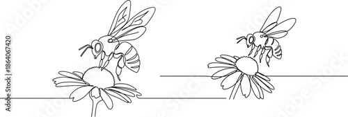 Two bees diligently collecting nectar from flowers, depicted in simple line art for a natural and organic feel