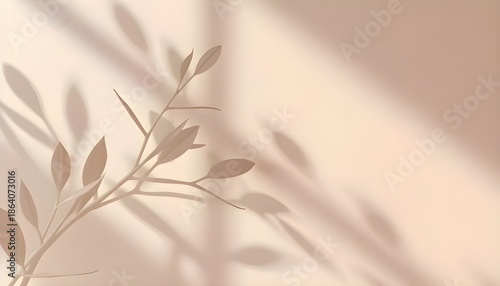 Luxury Minimal Nature Background with Abstract Botanical Light and Shadow