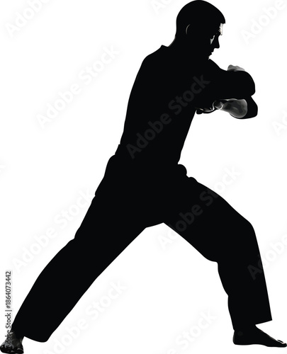 Dynamic Black Silhouette of a Martial Artist in a Powerful Stance, Karate or Kung Fu Combat Pose, Transparent Background
